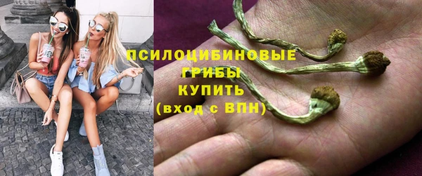 дмт Абаза