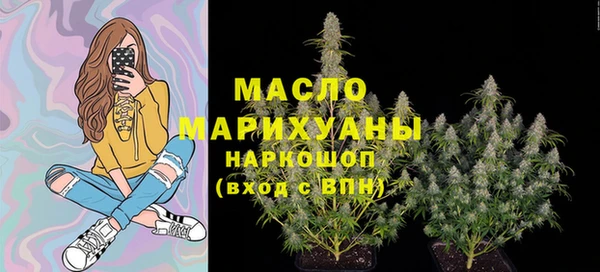 дмт Абаза