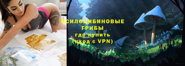 дмт Абаза