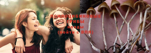 каннабис Алексин