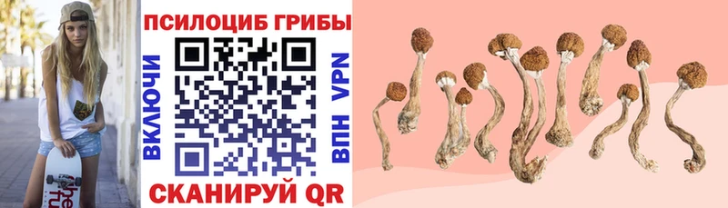 kraken ССЫЛКА  Магадан  даркнет официальный сайт  Галлюциногенные грибы GOLDEN TEACHER 