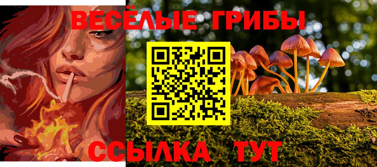 Мефедрон кристаллы  ГАШИШ  НБОМе  COCAIN  Магадан  Вход с VPN  МЕТ  ГАШ  Лсд 25 
