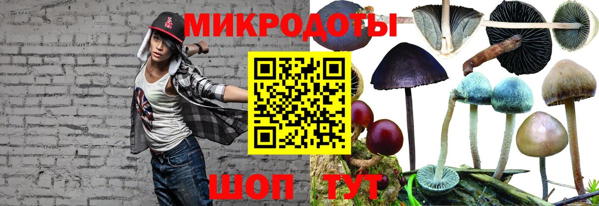 Магадан  Галлюциногенные грибы мицелий  Галлюциногенные грибы ЛСД  Вход с VPN 